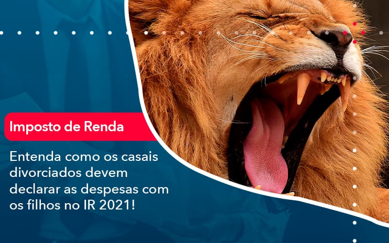 Entenda Como Os Casais Divorciados Devem Declarar As Despesas Com Os Filhos No Ir 2021 (1) - Abrir Empresa Simples