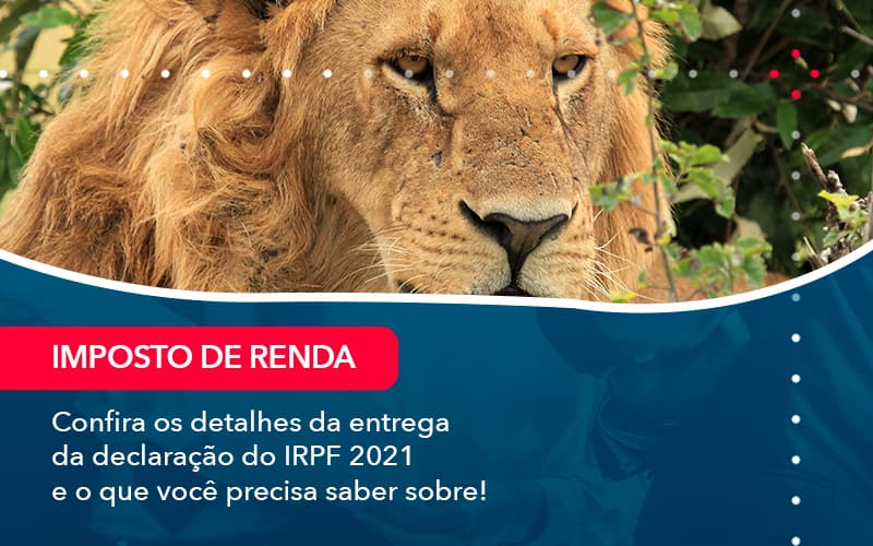 Confira Os Detalhes Da Entrega Da Declaracao Do Irpf 2021 E O Que Voce Precisa Saber Sobre (1) - Abrir Empresa Simples